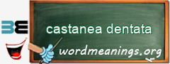 WordMeaning blackboard for castanea dentata